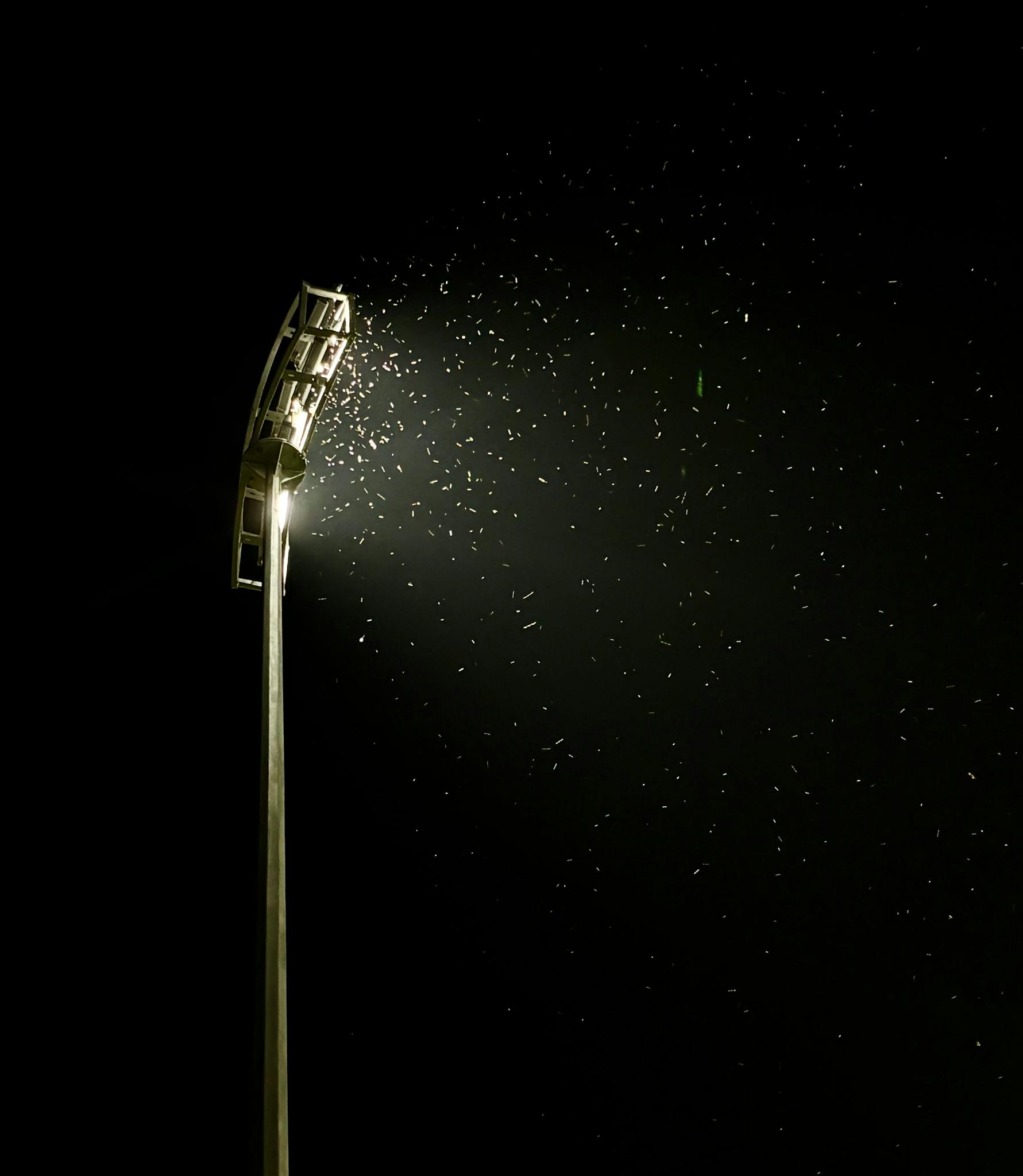 A high floodlight illuminating insects in the night sky, creating a dramatic scene.